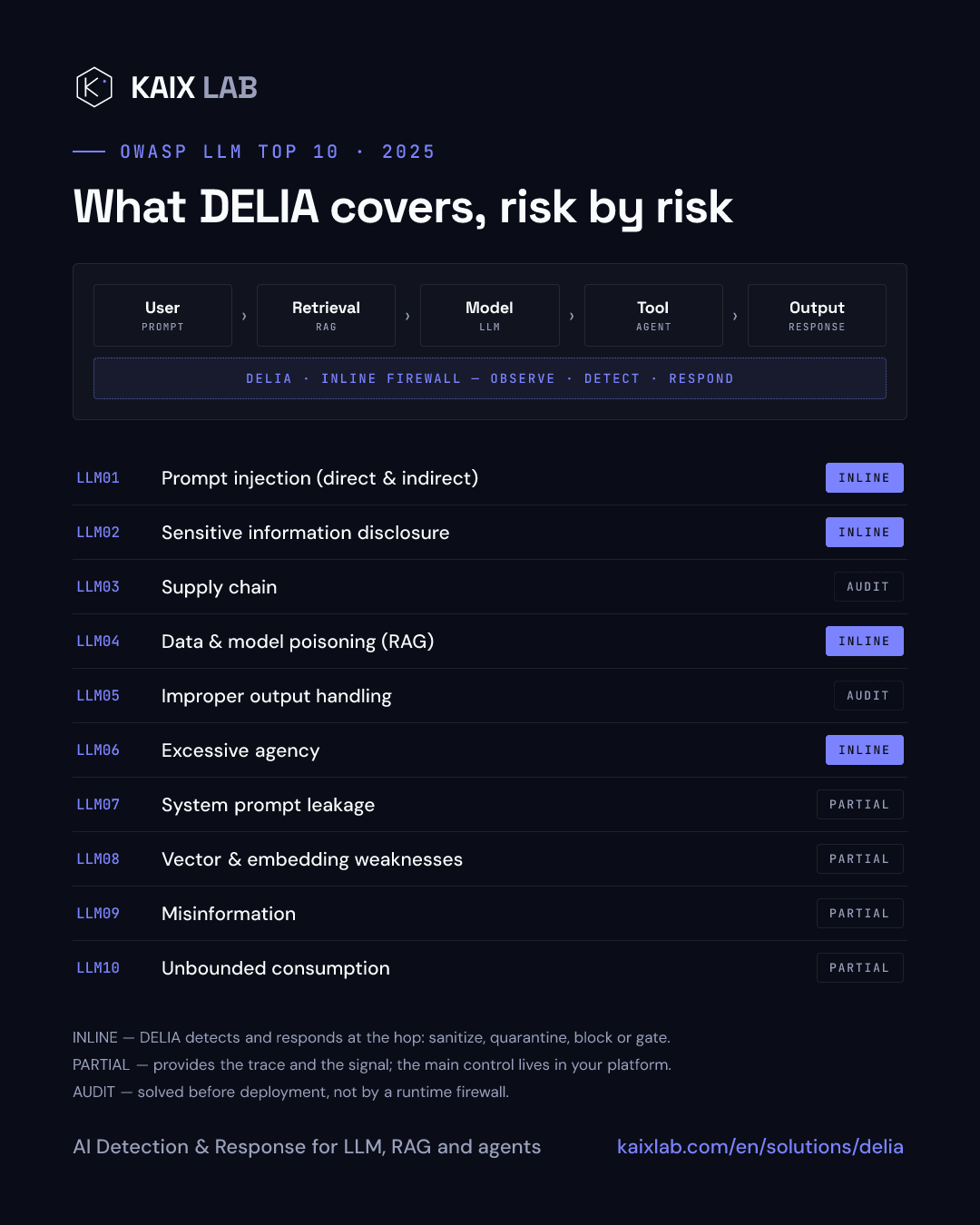 DELIA coverage map over the OWASP LLM Top 10