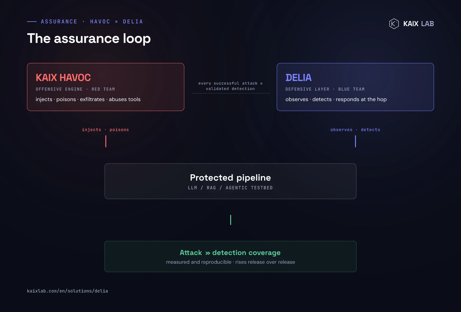 Diagram of the assurance loop: KAIX HAVOC (red team) attacks and DELIA (blue team) defends the same protected pipeline; every successful attack becomes a validated detection, and attack-to-detection coverage is measured and rises release over release